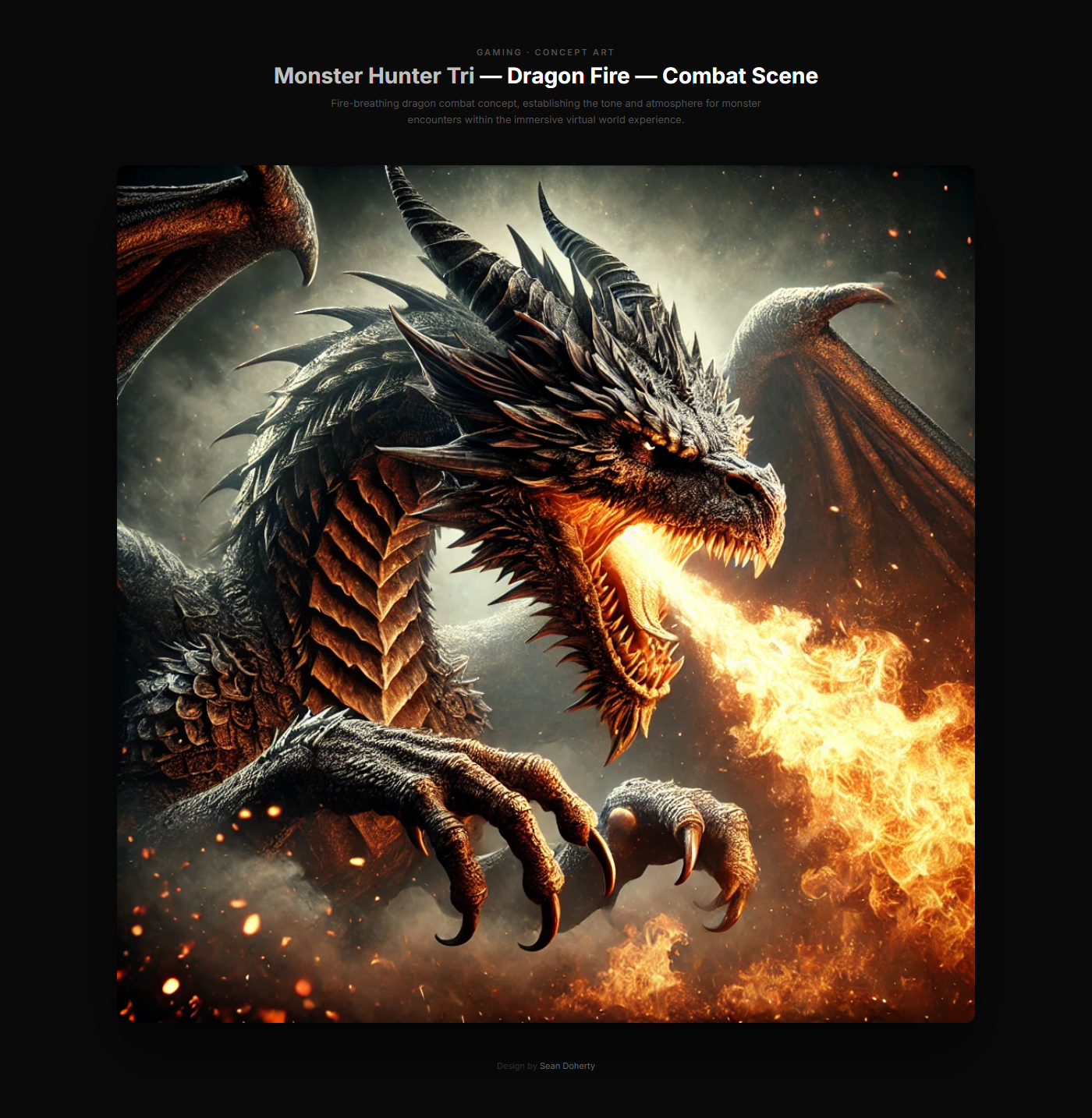 Monster Hunter Tri artifact 2