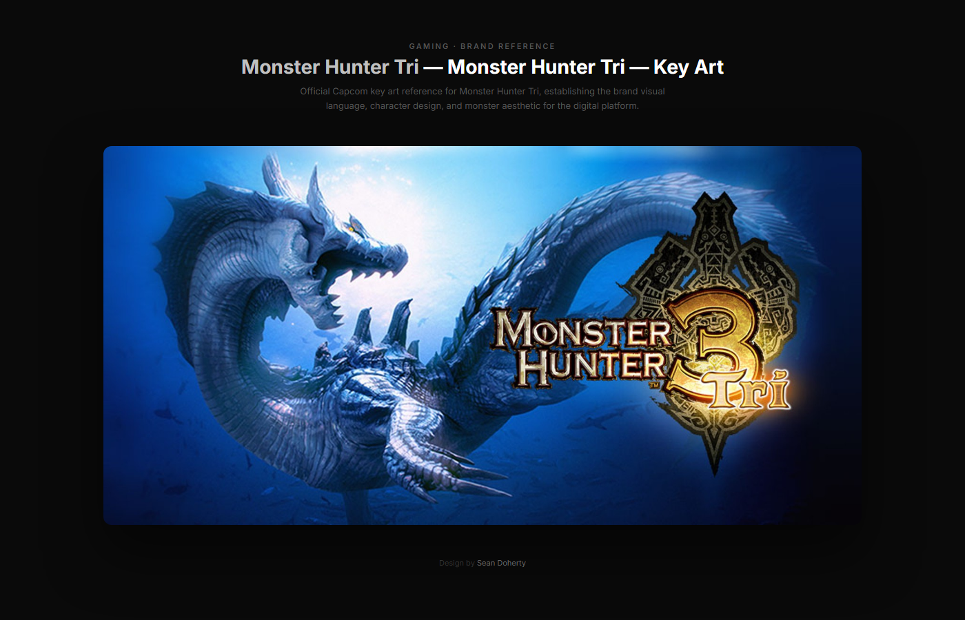 Monster Hunter Tri artifact 6