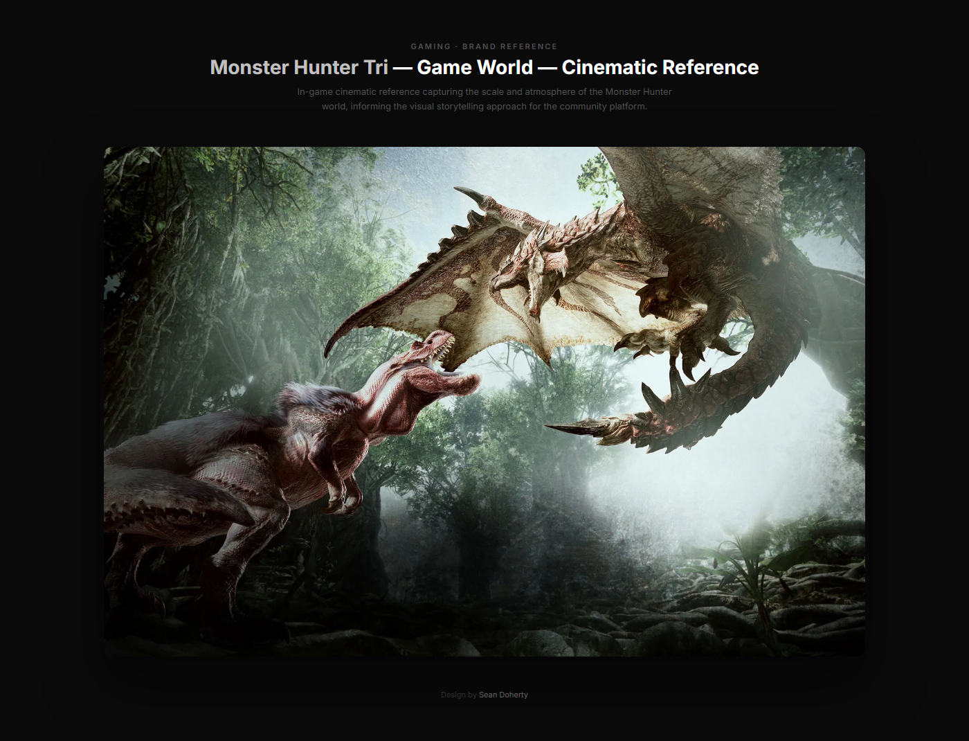 Monster Hunter Tri artifact 7