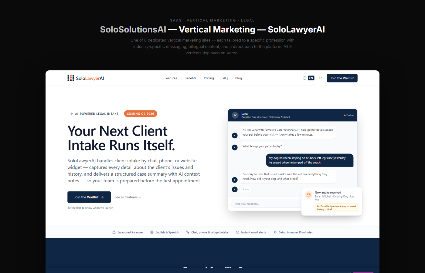 SoloSolutionsAI artifact 4