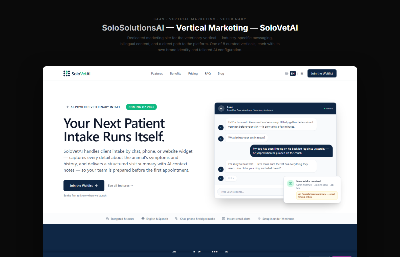 SoloSolutionsAI artifact 5